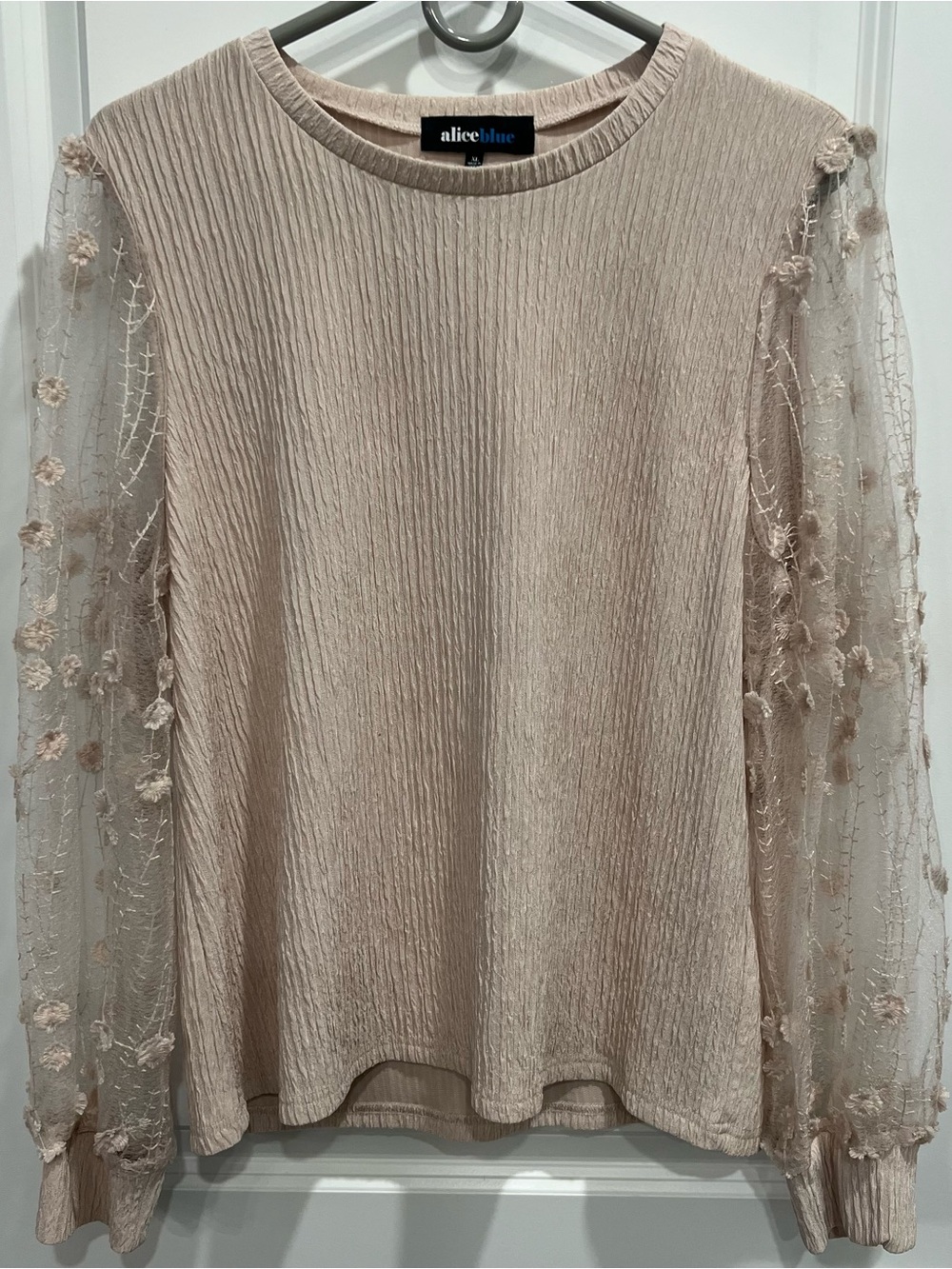 Alice Blue Blush Cream Textured Top with Sheer Embroidered Sleeves